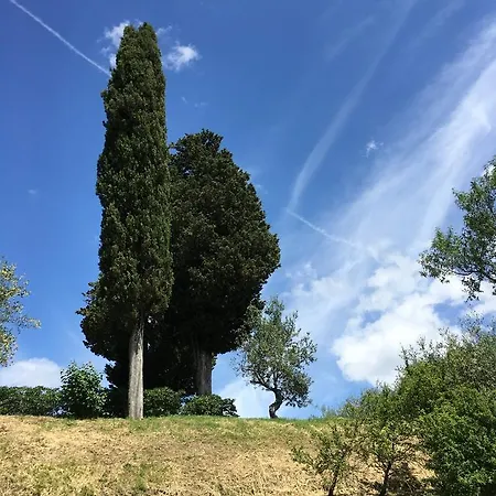 Le Sorgenti 3*